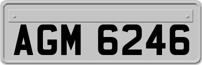 AGM6246