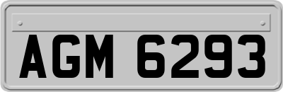 AGM6293
