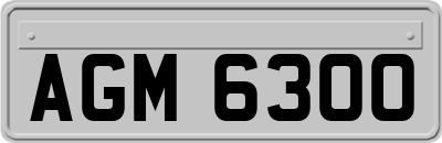 AGM6300