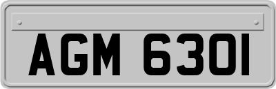 AGM6301