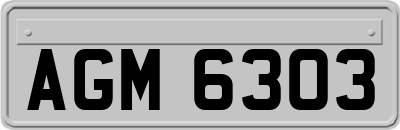 AGM6303