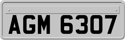 AGM6307