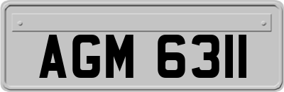 AGM6311