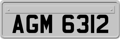 AGM6312