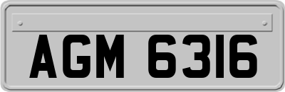 AGM6316