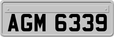 AGM6339