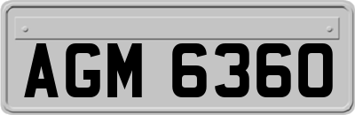 AGM6360