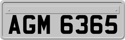 AGM6365