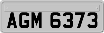 AGM6373