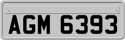 AGM6393