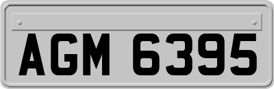 AGM6395