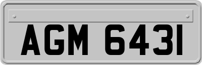 AGM6431