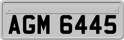 AGM6445