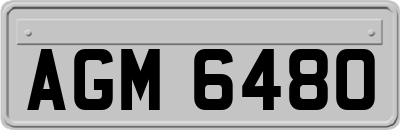 AGM6480