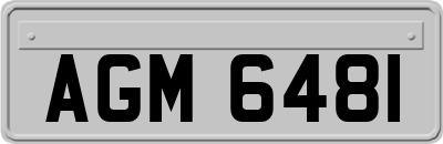 AGM6481