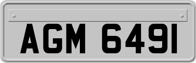 AGM6491