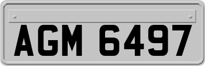 AGM6497