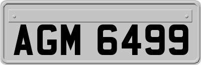 AGM6499