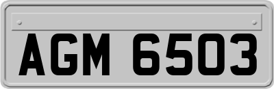 AGM6503
