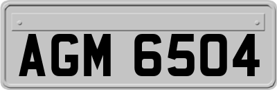 AGM6504