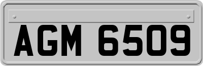 AGM6509