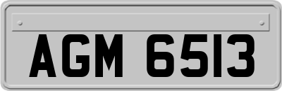 AGM6513