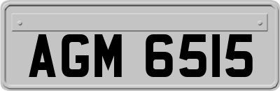 AGM6515