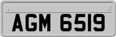AGM6519