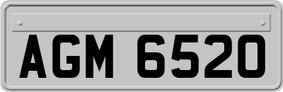 AGM6520
