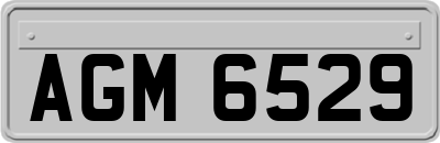 AGM6529