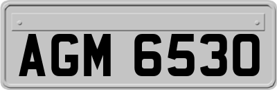 AGM6530