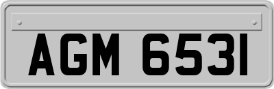 AGM6531