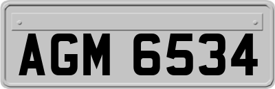 AGM6534