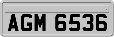 AGM6536