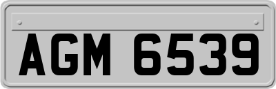 AGM6539