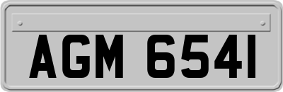 AGM6541