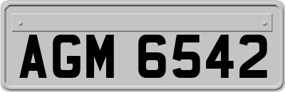 AGM6542
