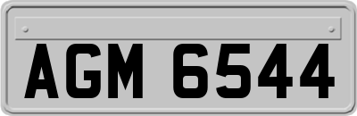 AGM6544