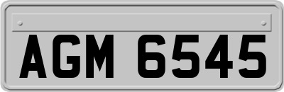 AGM6545