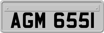 AGM6551