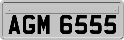 AGM6555