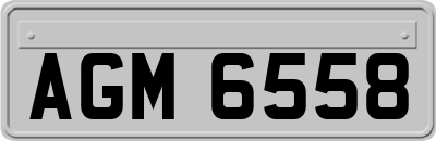 AGM6558