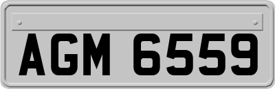 AGM6559