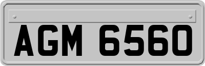 AGM6560