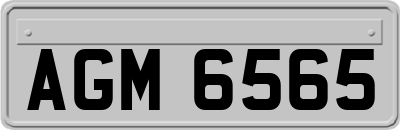 AGM6565