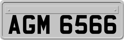 AGM6566