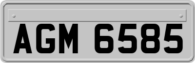 AGM6585