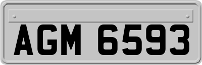 AGM6593