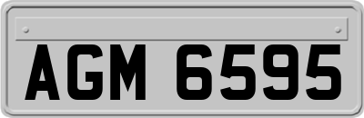 AGM6595