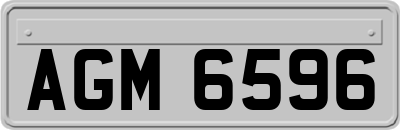 AGM6596